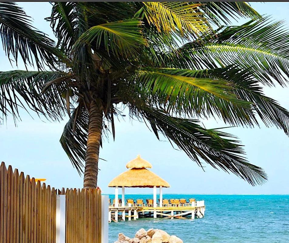 Velento Beach Level #9 Caye Caulker Dış mekan fotoğraf